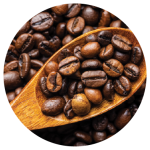 Coffee Arabica